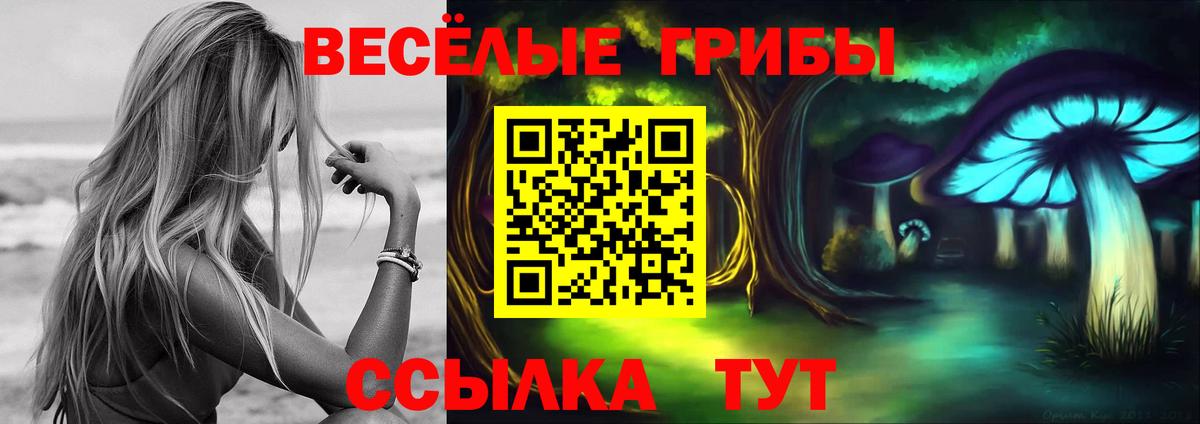 Галлюциногенные грибы MAGIC MUSHROOMS  Вход с VPN  Калач-на-Дону 