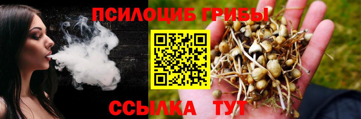 Псилоцибиновые грибы MAGIC MUSHROOMS Калач-на-Дону